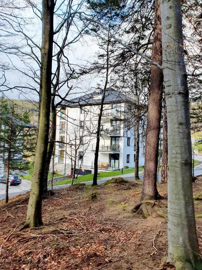 Apartament Wlochatka Z Sauna Finska Świeradów-Zdrój Exteriör bild